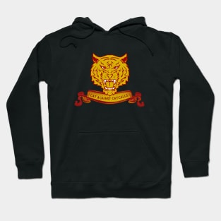 Vintage style Cat Tiger against catcalls Hoodie